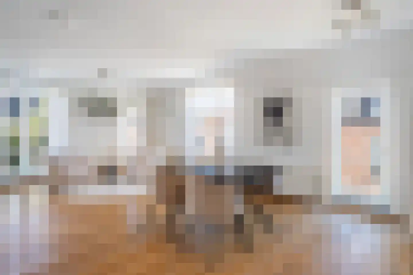 Van Leeuwenhoeckstraat 18 Utrecht thumbnail 18