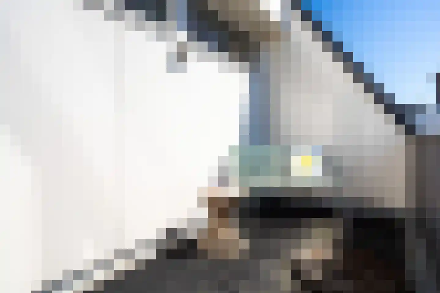 Van Leeuwenhoeckstraat 18 Utrecht thumbnail 30