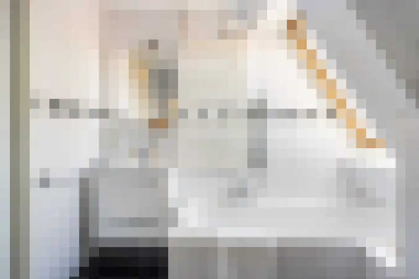 Van Leeuwenhoeckstraat 18 Utrecht thumbnail 41