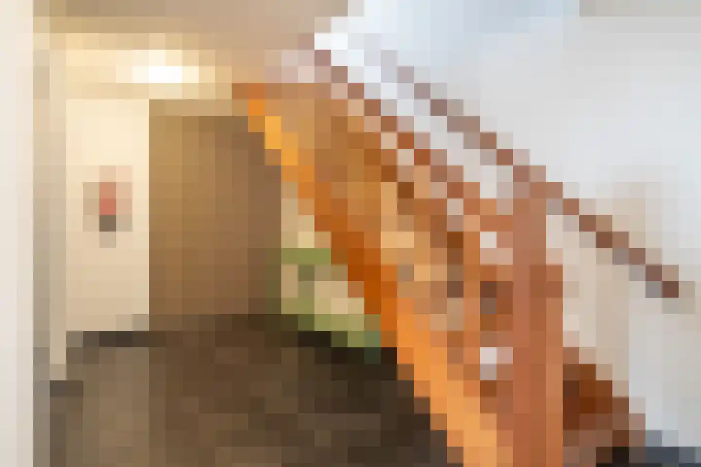 Van Leeuwenhoeckstraat 18 Utrecht thumbnail 7