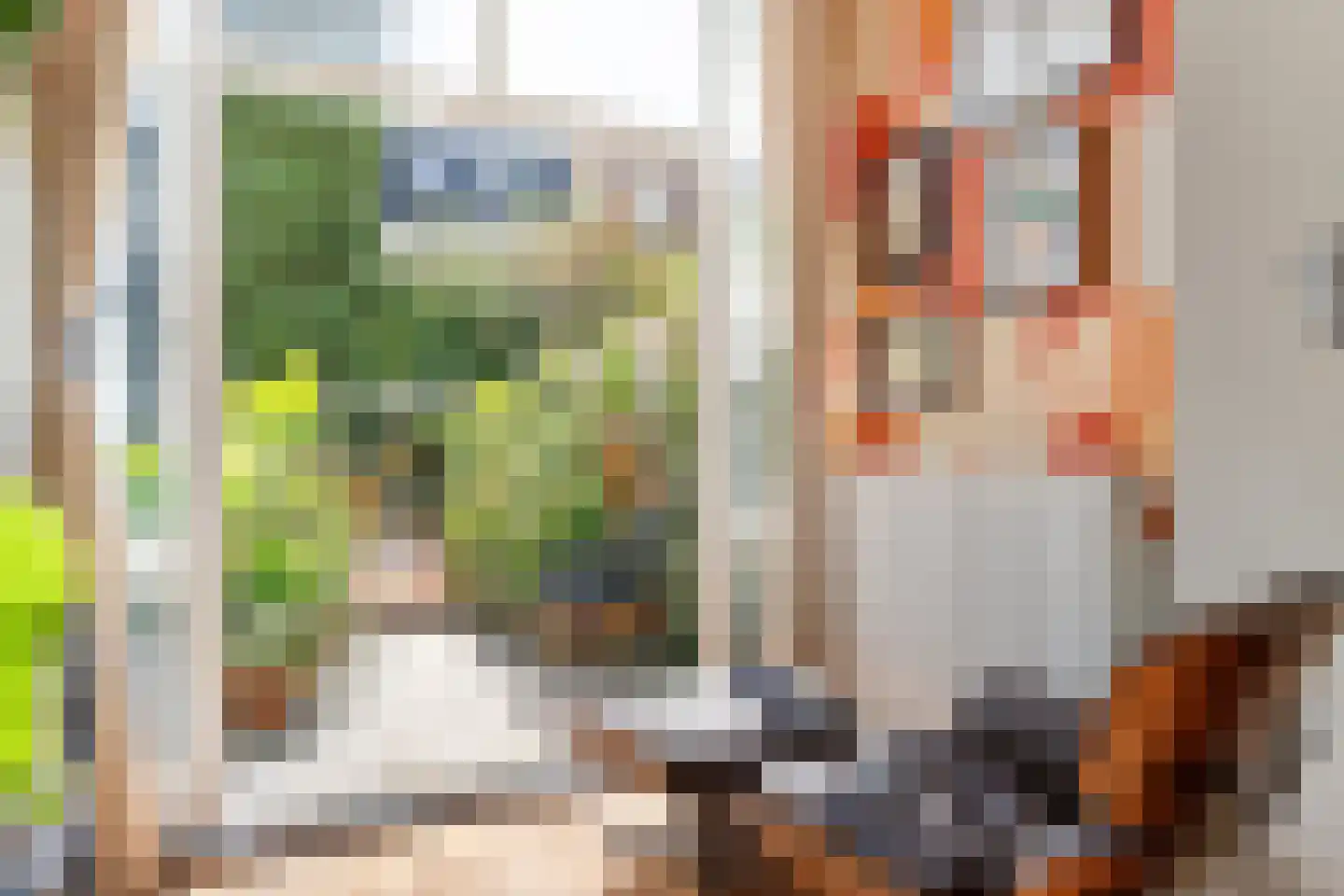 Van Leeuwenhoeckstraat 6 Utrecht thumbnail 14