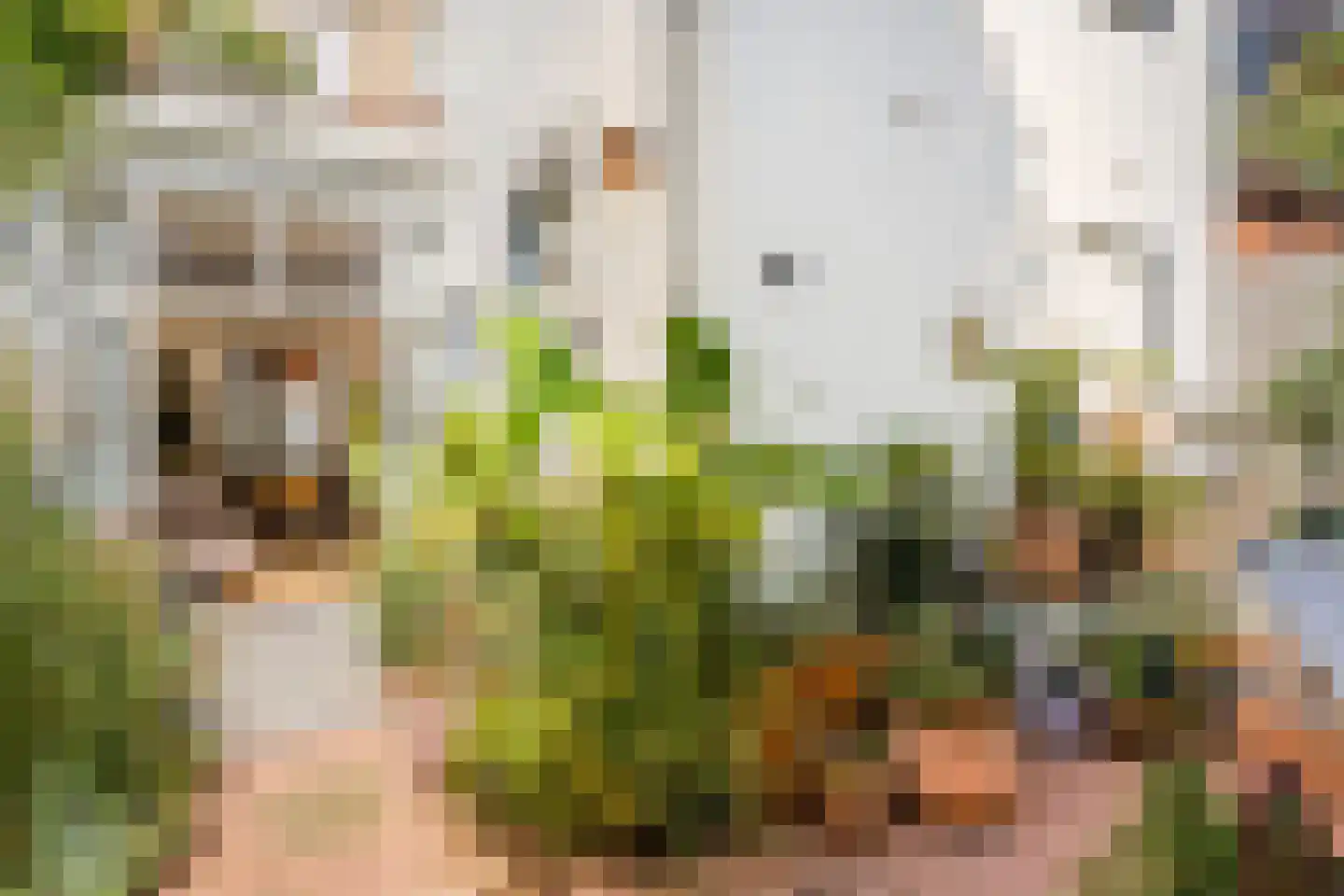 Van Leeuwenhoeckstraat 6 Utrecht thumbnail 29