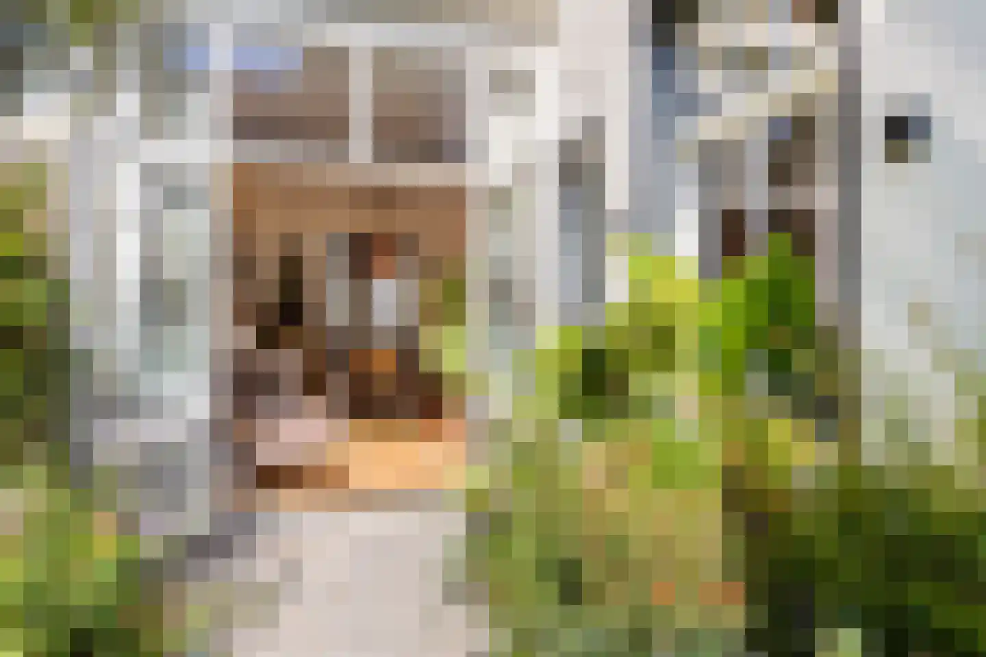Van Leeuwenhoeckstraat 6 Utrecht thumbnail 30