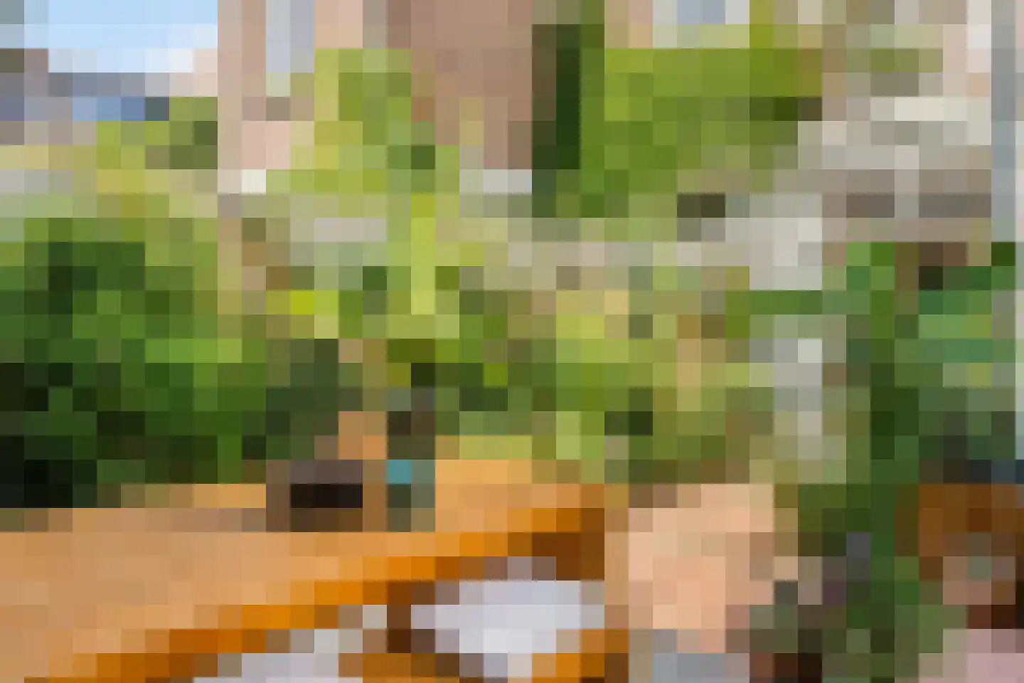 Van Leeuwenhoeckstraat 6 Utrecht thumbnail 33