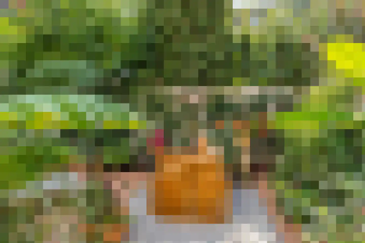 Van Leeuwenhoeckstraat 6 Utrecht thumbnail 35