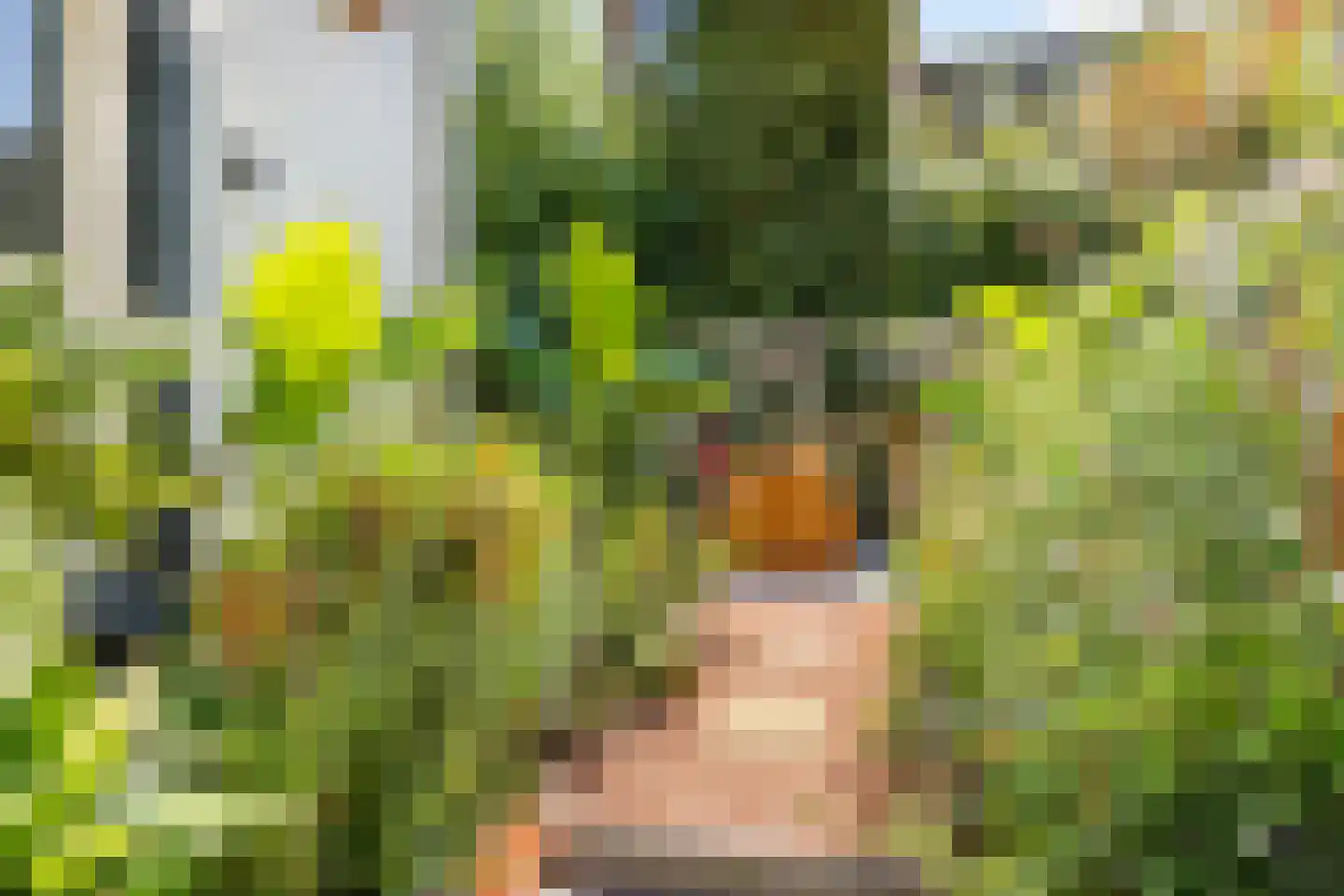 Van Leeuwenhoeckstraat 6 Utrecht thumbnail 5