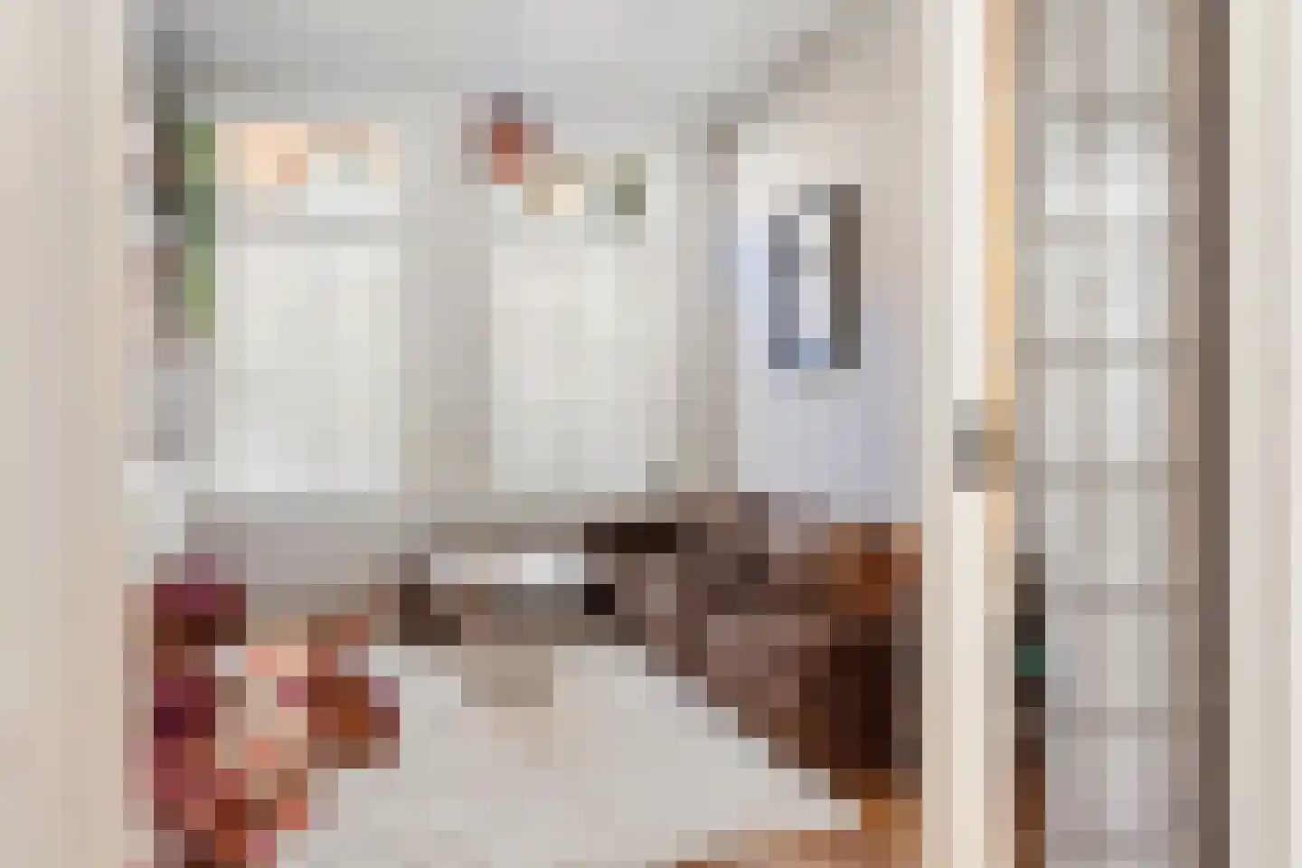 Van Leeuwenhoeckstraat 6 Utrecht thumbnail 7