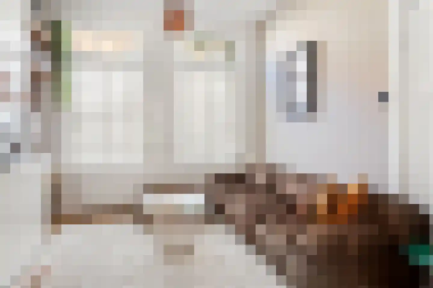 Van Leeuwenhoeckstraat 6 Utrecht thumbnail 8