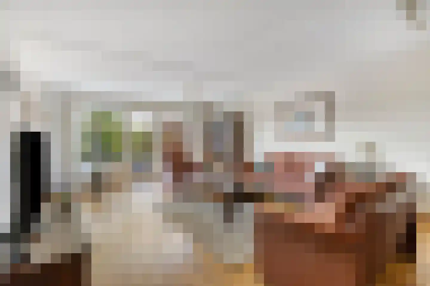 Van Leeuwenhoeklaan 11 Roosendaal thumbnail 12