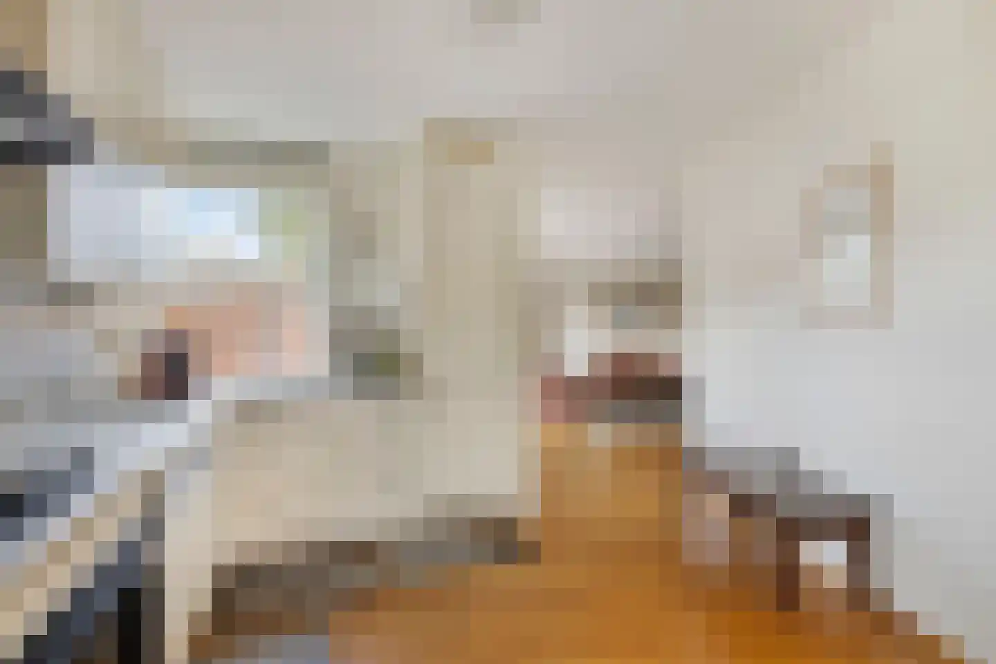 Van Leeuwenhoeklaan 11 Roosendaal thumbnail 13