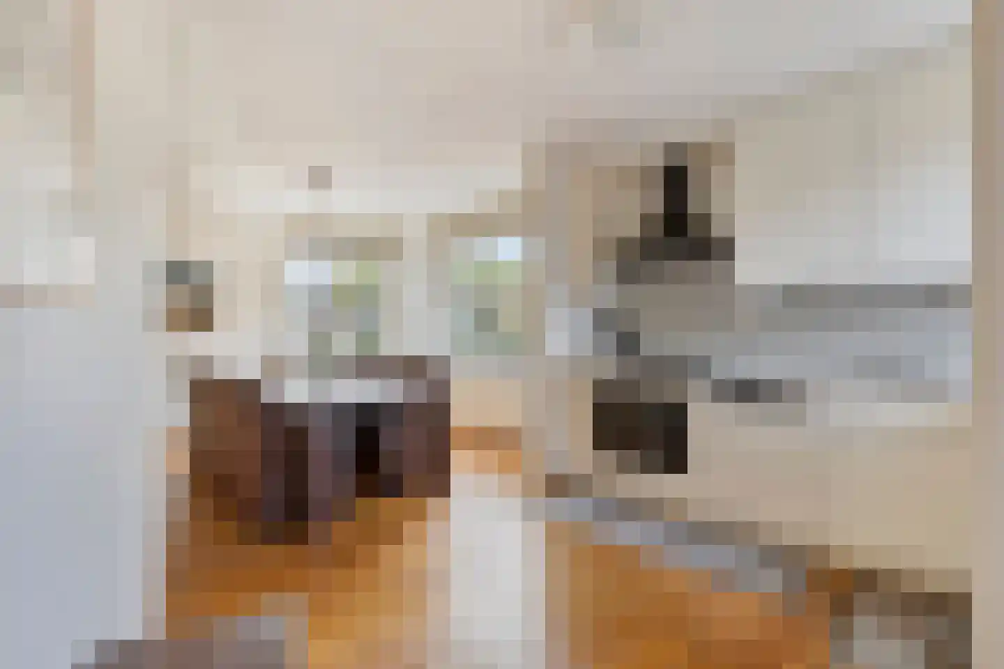 Van Leeuwenhoeklaan 11 Roosendaal thumbnail 18