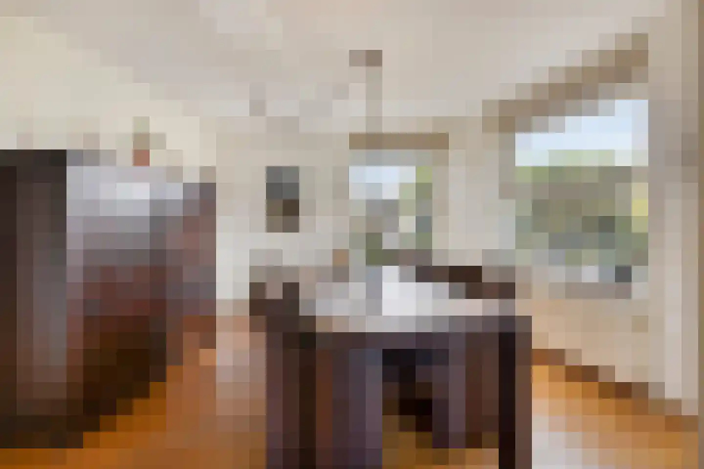 Van Leeuwenhoeklaan 11 Roosendaal thumbnail 19