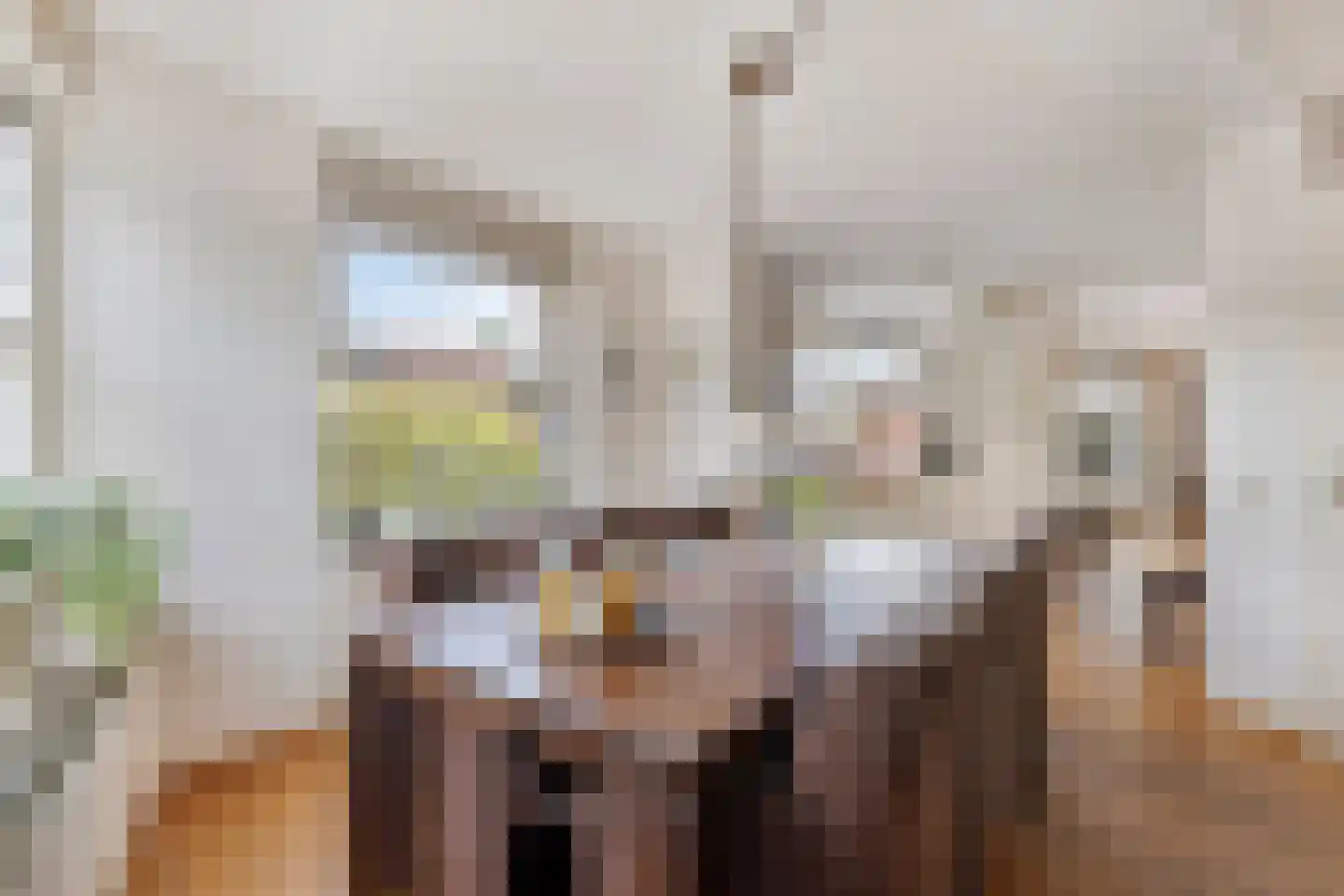 Van Leeuwenhoeklaan 11 Roosendaal thumbnail 20