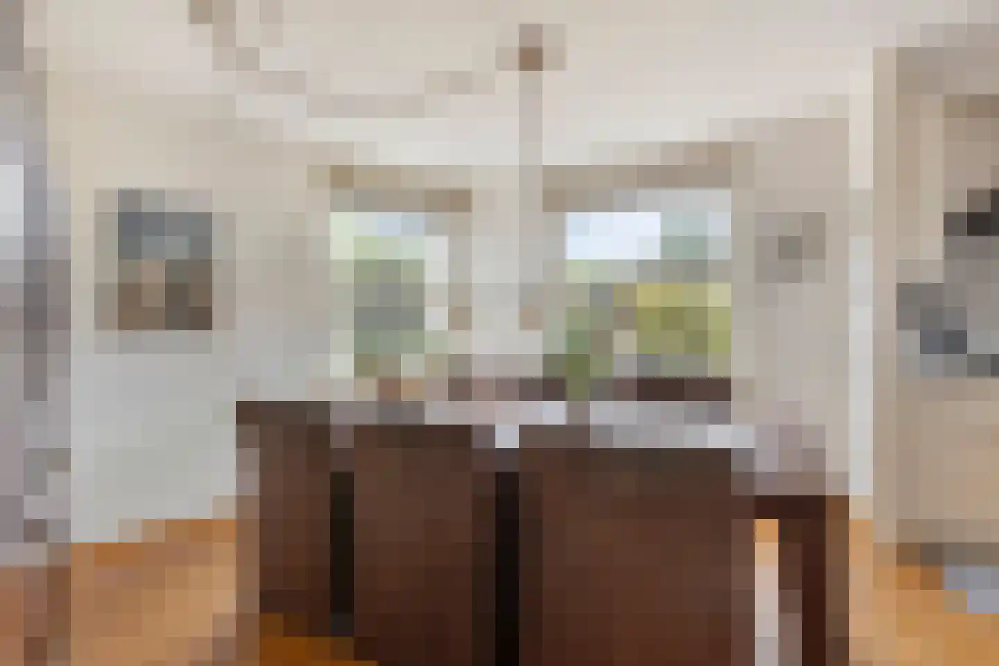 Van Leeuwenhoeklaan 11 Roosendaal thumbnail 21