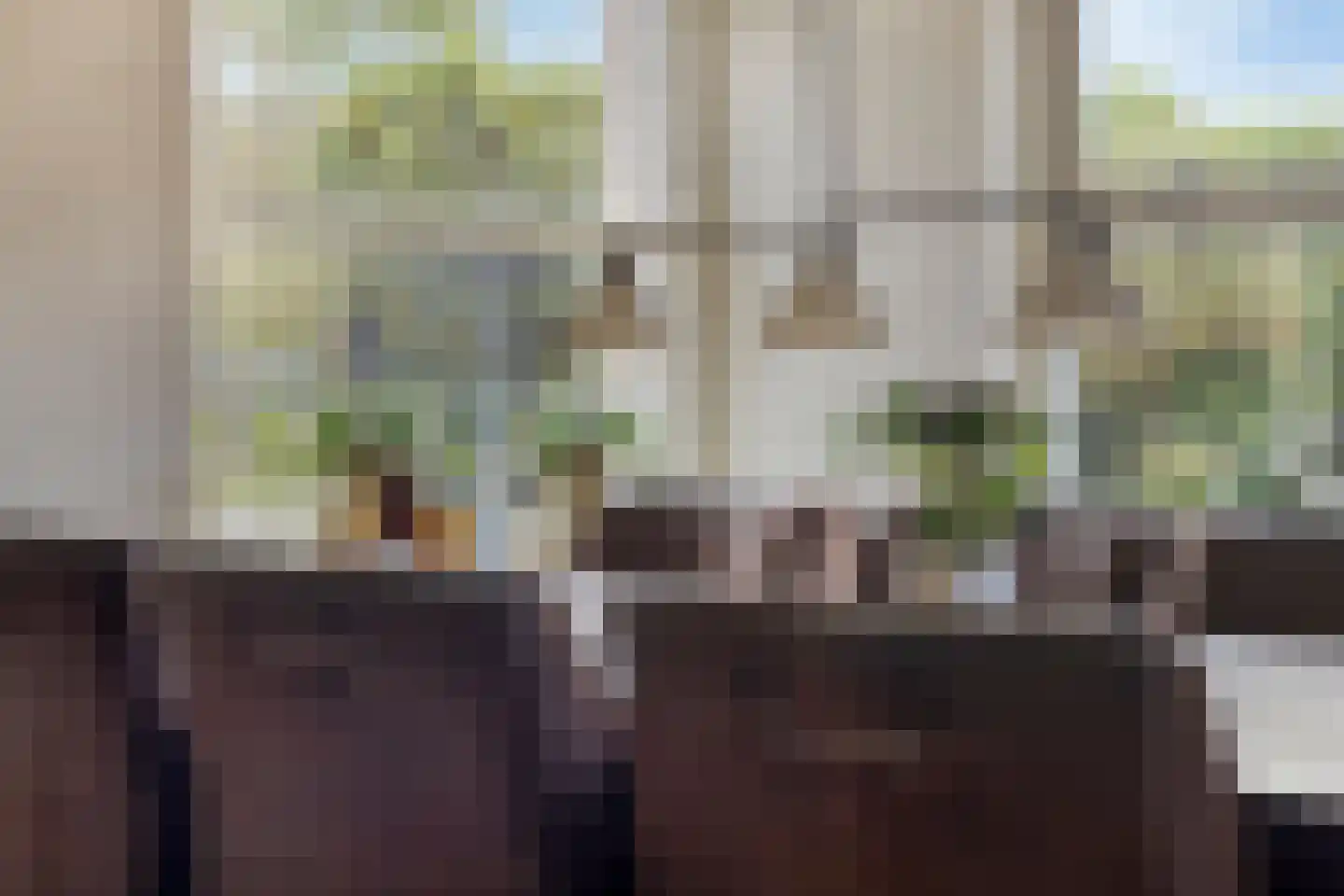 Van Leeuwenhoeklaan 11 Roosendaal thumbnail 22