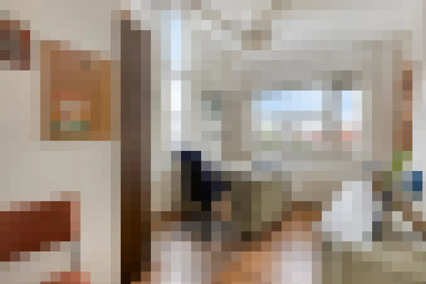 Van Leeuwenhoeklaan 11 Roosendaal thumbnail 30