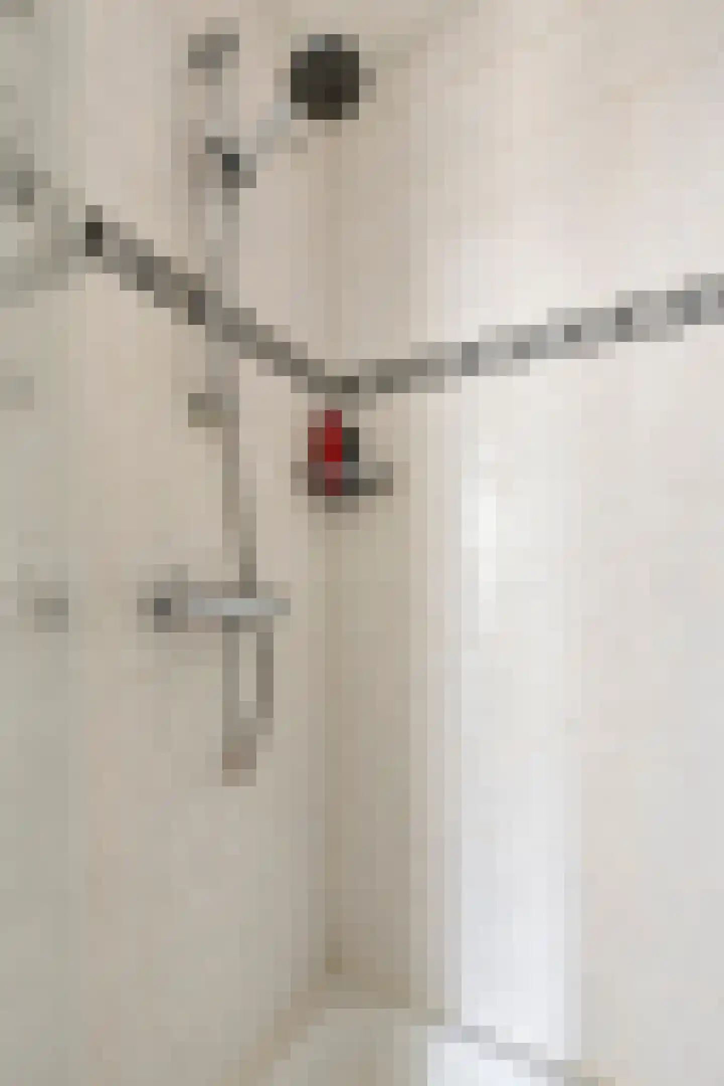 Van Leeuwenhoeklaan 11 Roosendaal thumbnail 32