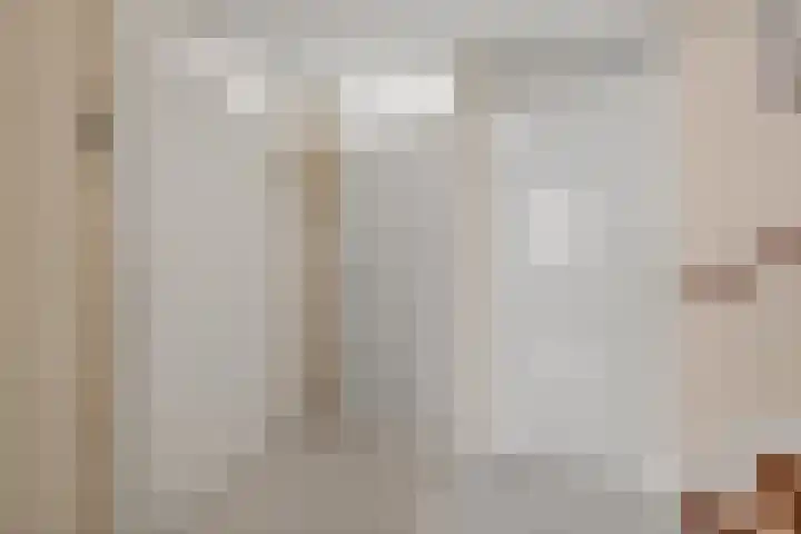 Van Leeuwenhoeklaan 114 Roosendaal thumbnail 11