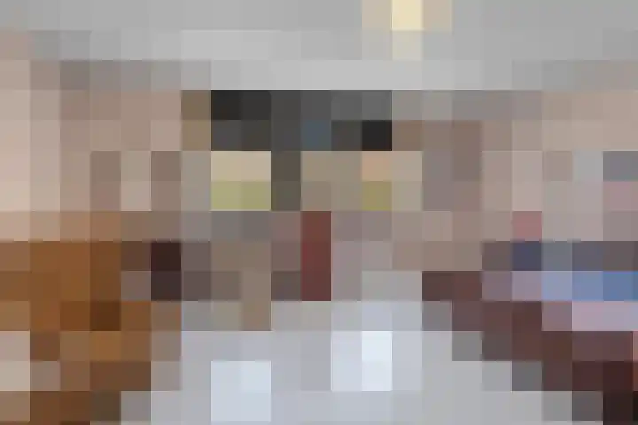 Van Leeuwenhoeklaan 114 Roosendaal thumbnail 12