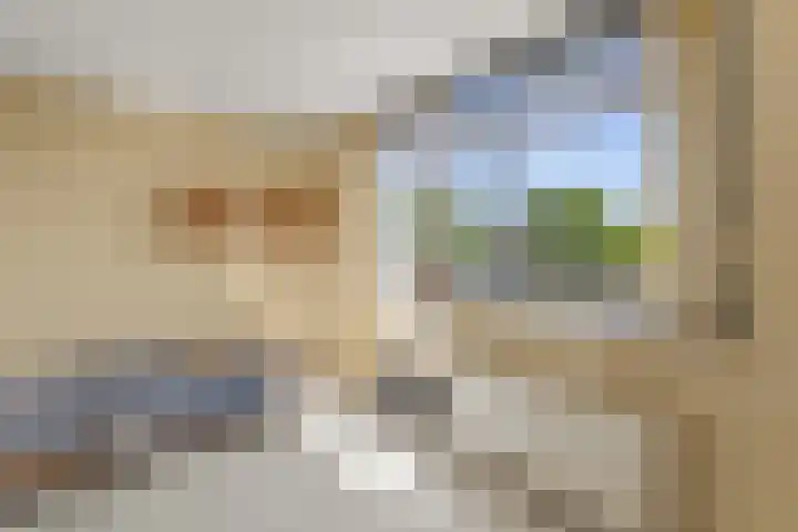 Van Leeuwenhoeklaan 114 Roosendaal thumbnail 19