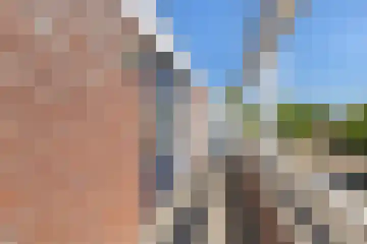 Van Leeuwenhoeklaan 114 Roosendaal thumbnail 22
