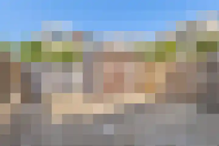 Van Leeuwenhoeklaan 114 Roosendaal thumbnail 24