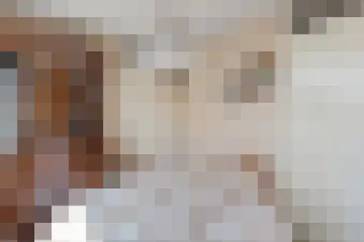 Van Leeuwenhoeklaan 114 Roosendaal thumbnail 7