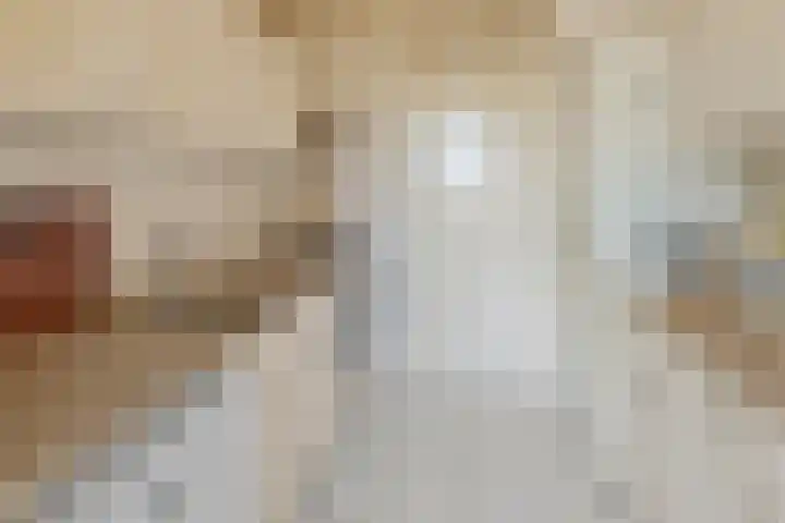 Van Leeuwenhoeklaan 114 Roosendaal thumbnail 9