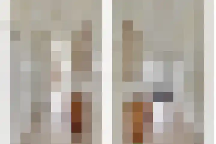 Van Leeuwenhoeklaan 12 Kruiningen thumbnail 11