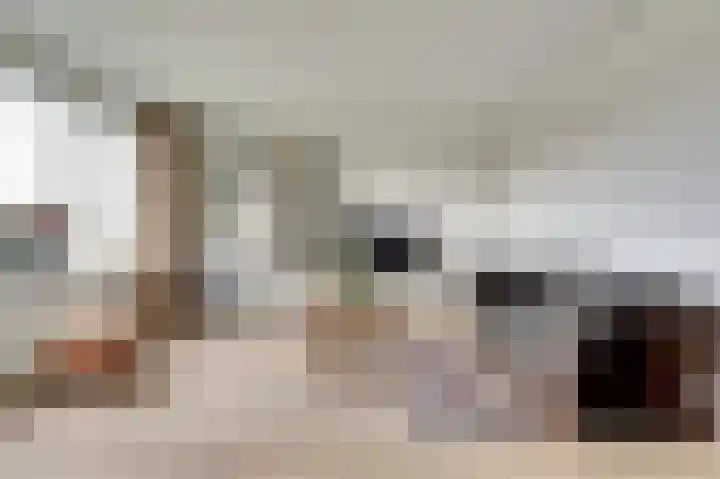 Van Leeuwenhoeklaan 12 Kruiningen thumbnail 14