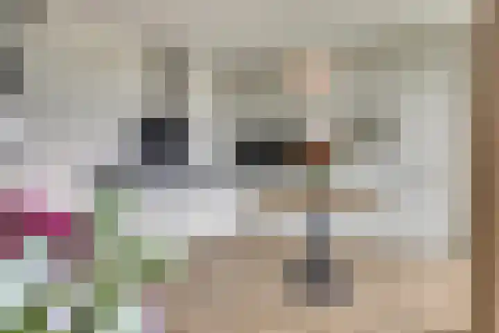 Van Leeuwenhoeklaan 12 Kruiningen thumbnail 20