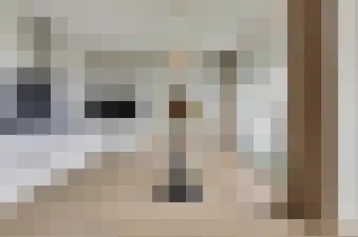Van Leeuwenhoeklaan 12 Kruiningen thumbnail 21