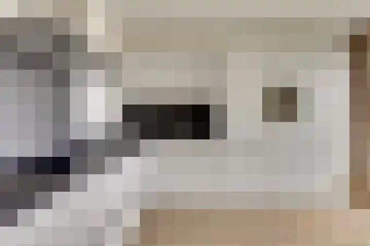 Van Leeuwenhoeklaan 12 Kruiningen thumbnail 23