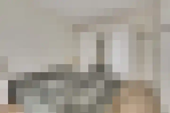 Van Leeuwenhoeklaan 12 Kruiningen thumbnail 28