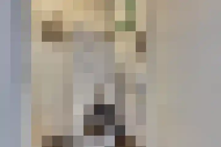 Van Leeuwenhoeklaan 12 Kruiningen thumbnail 30