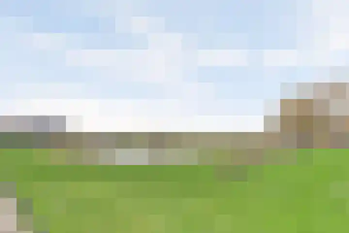 Van Leeuwenhoeklaan 12 Kruiningen thumbnail 31