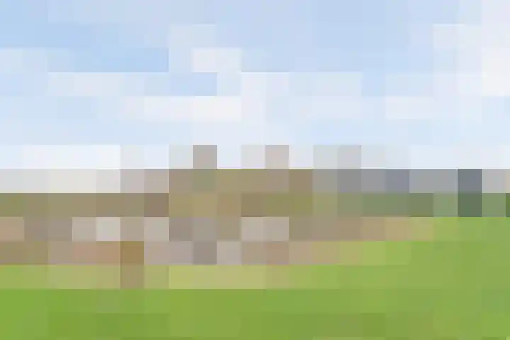 Van Leeuwenhoeklaan 12 Kruiningen thumbnail 32