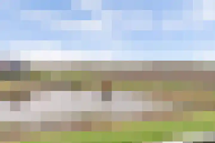 Van Leeuwenhoeklaan 12 Kruiningen thumbnail 34