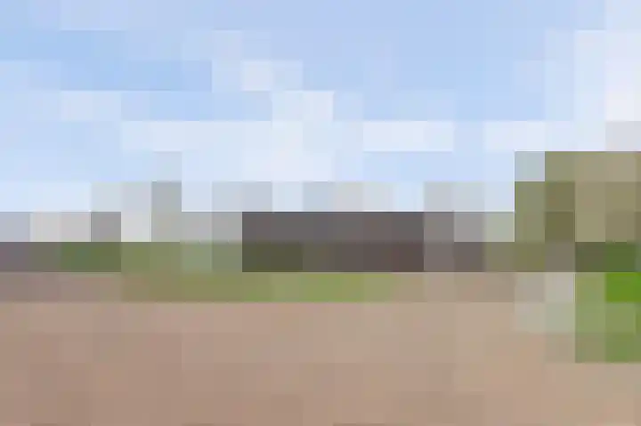 Van Leeuwenhoeklaan 12 Kruiningen thumbnail 4