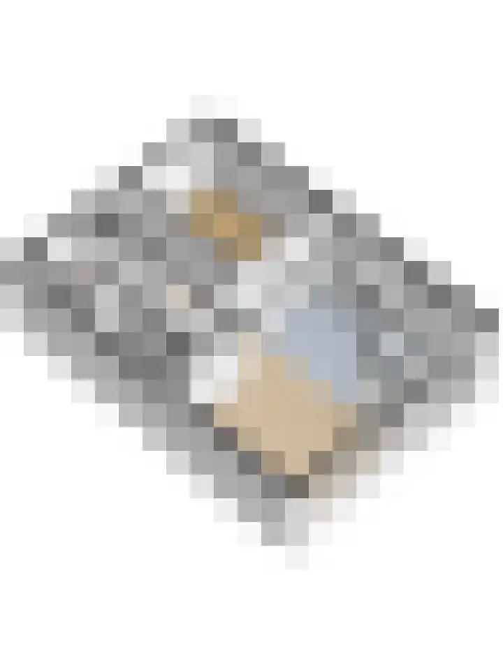 Van Leeuwenhoeklaan 12 Kruiningen thumbnail 42