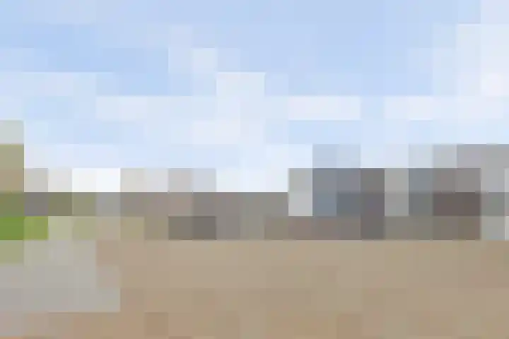 Van Leeuwenhoeklaan 12 Kruiningen thumbnail 6
