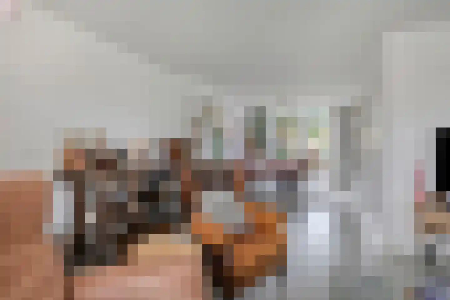Van Leeuwenhoeklaan 16 Vlijmen thumbnail 10