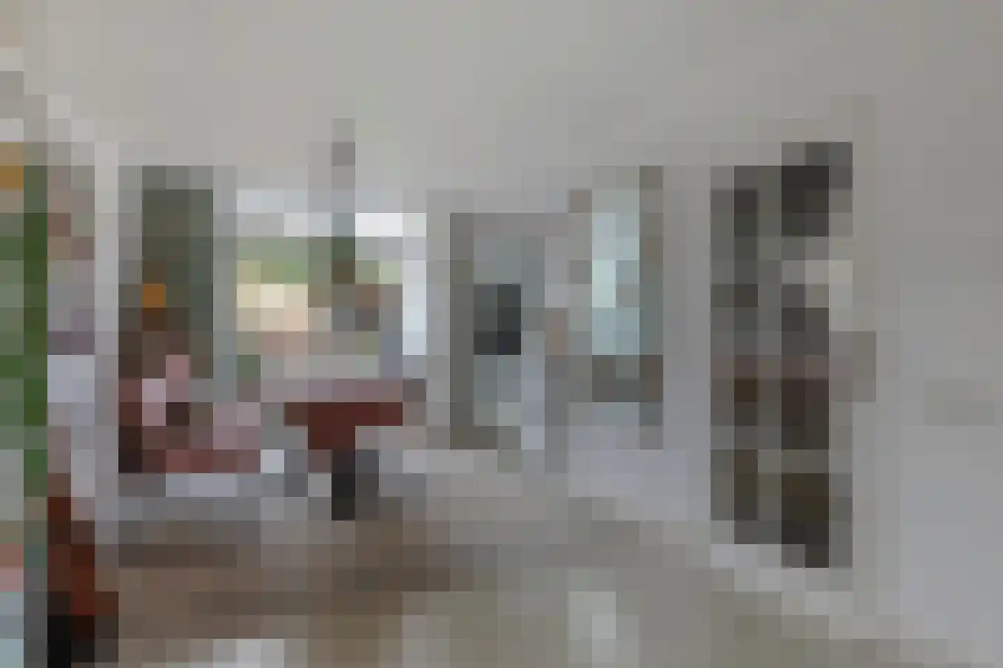 Van Leeuwenhoeklaan 16 Vlijmen thumbnail 13