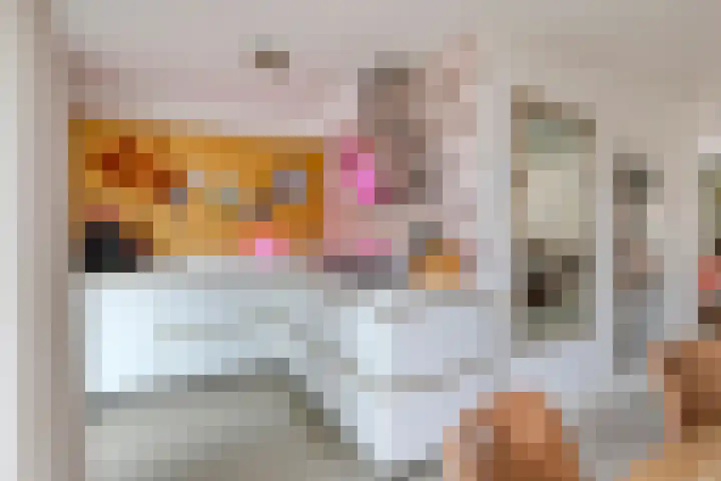 Van Leeuwenhoeklaan 16 Vlijmen thumbnail 18