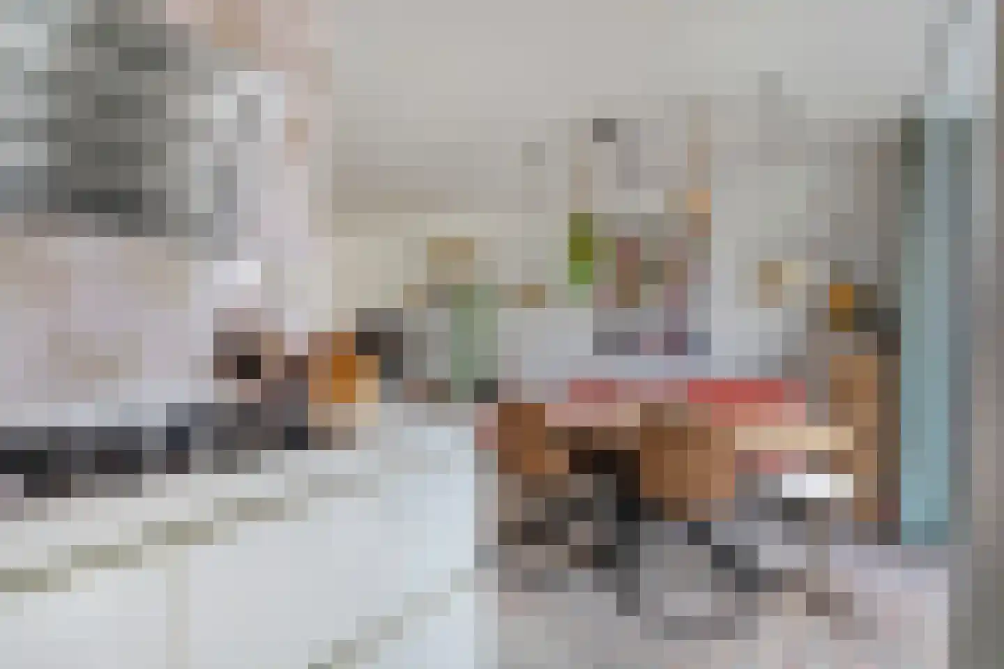 Van Leeuwenhoeklaan 16 Vlijmen thumbnail 19