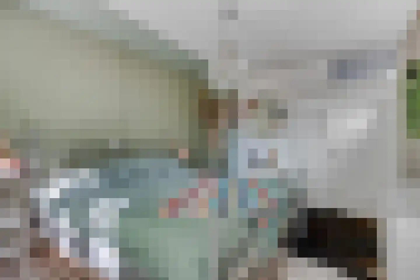 Van Leeuwenhoeklaan 16 Vlijmen thumbnail 23