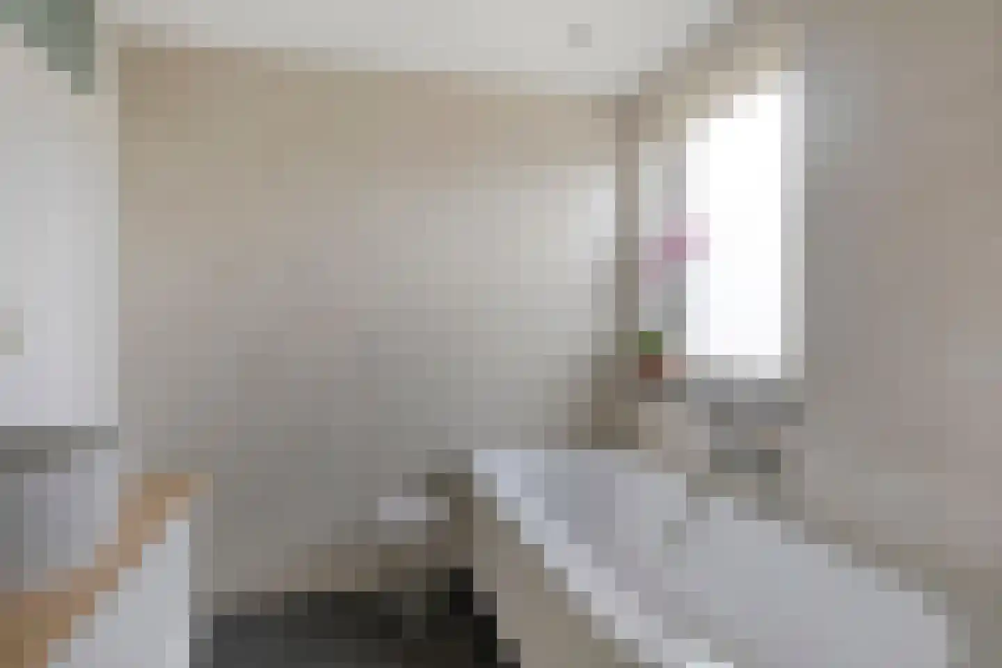 Van Leeuwenhoeklaan 16 Vlijmen thumbnail 25