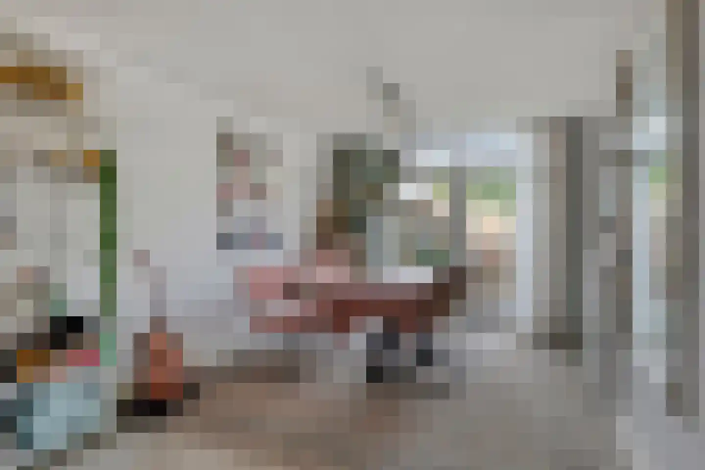 Van Leeuwenhoeklaan 16 Vlijmen foto 3