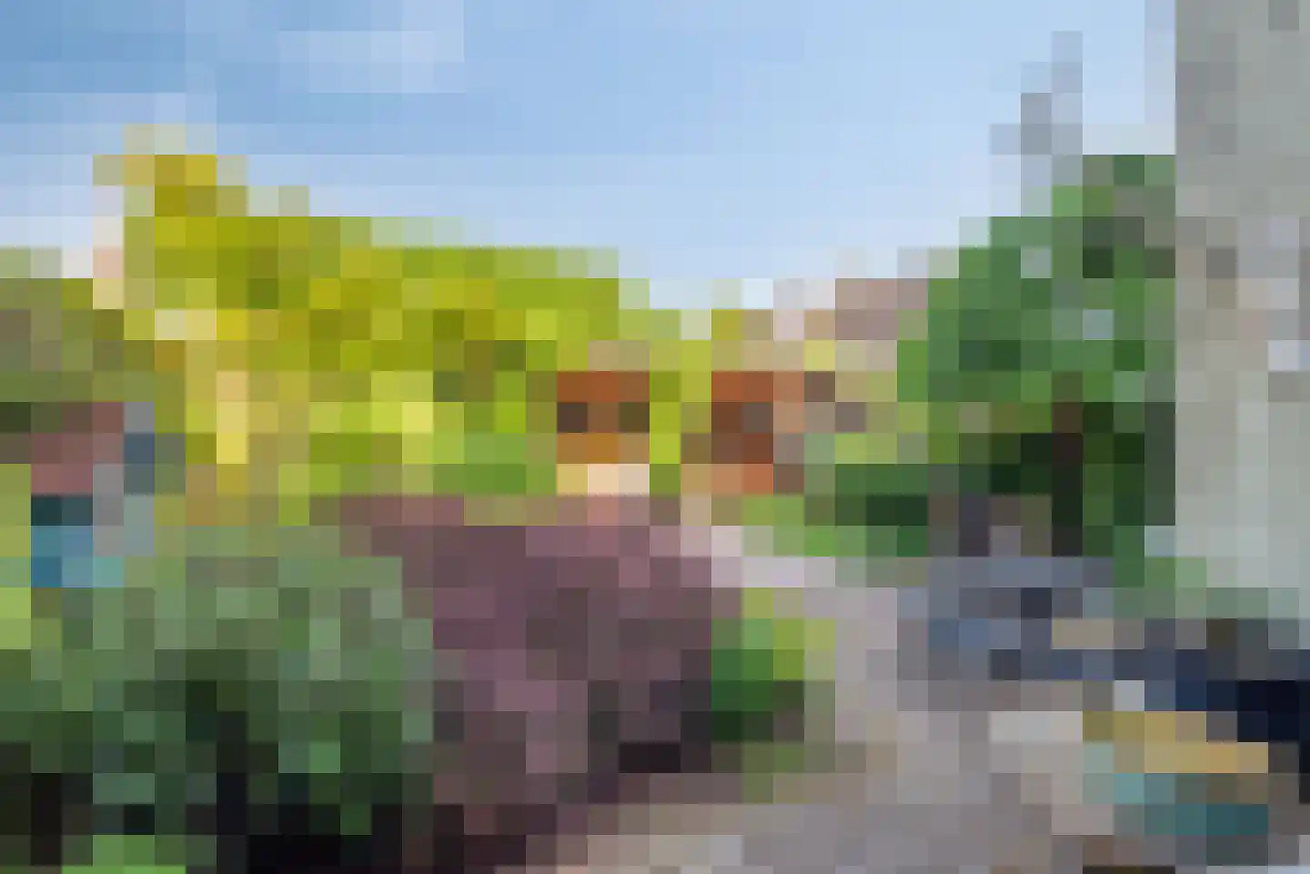 Van Leeuwenhoeklaan 16 Vlijmen thumbnail 4