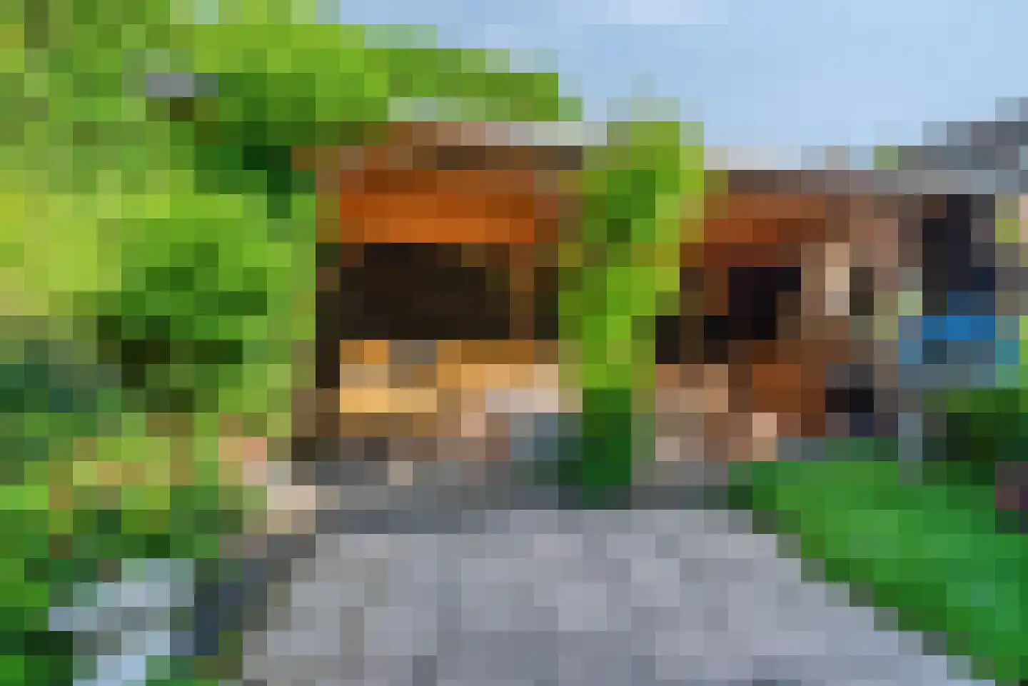 Van Leeuwenhoeklaan 16 Vlijmen thumbnail 40